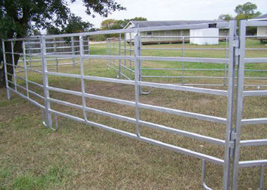 Heavy Duty Cattle Yard Panels And Gate 80G Zinc Coated 80MM Tube Easy Install