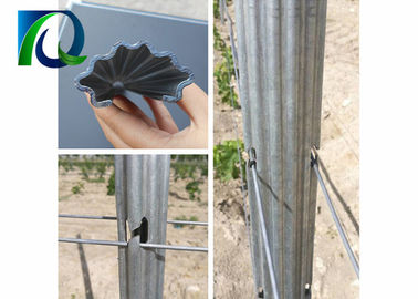 Strong Durable Steel Metal Vineyard Trellis Posts For 1.6-3.0MM Wire