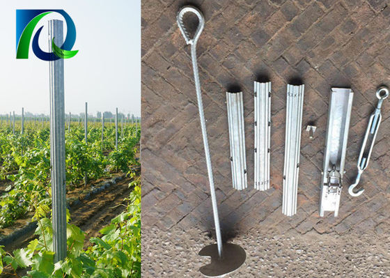 Seng Dilapisi 275G 1.5MM Tebal Kiriman Teralis Kebun Anggur