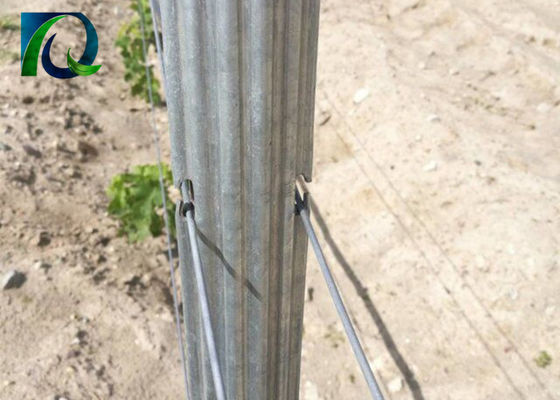 1.5mm 2.0mm 50x40mm Kiriman Teralis Kebun Anggur Logam Dengan Lubang