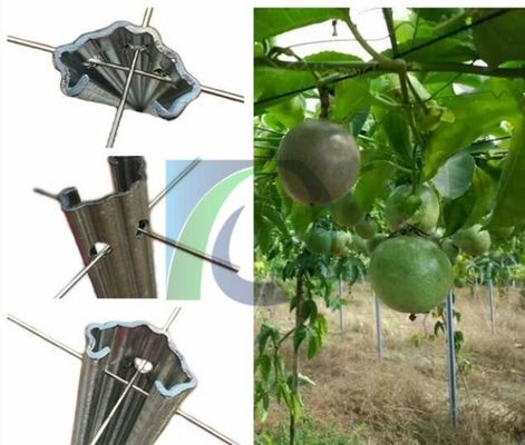 275G / M2 2.4M Tinggi 1.5mm Metal Grape Vine Teralis Untuk Orchard
