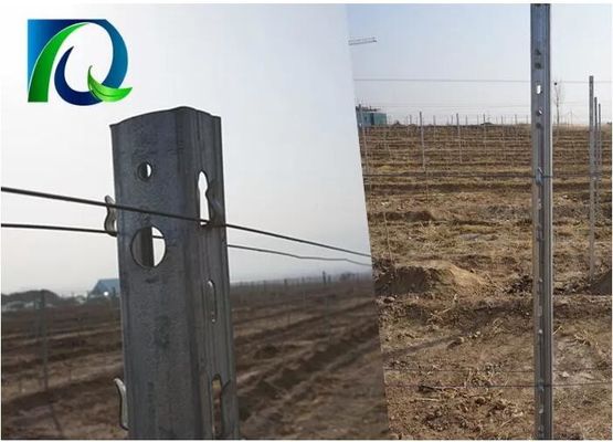 3.0mm U Type 275G Seng Logam Orchard Teralis Post