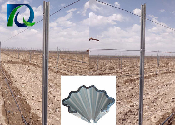 C Type 275G / M2 Hot Galvanized Metal Vineyard Teralis Posting