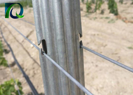 Kiriman Teralis Kebun Anggur Logam Baja 1.8m Untuk Kawat 1.6-3.0MM